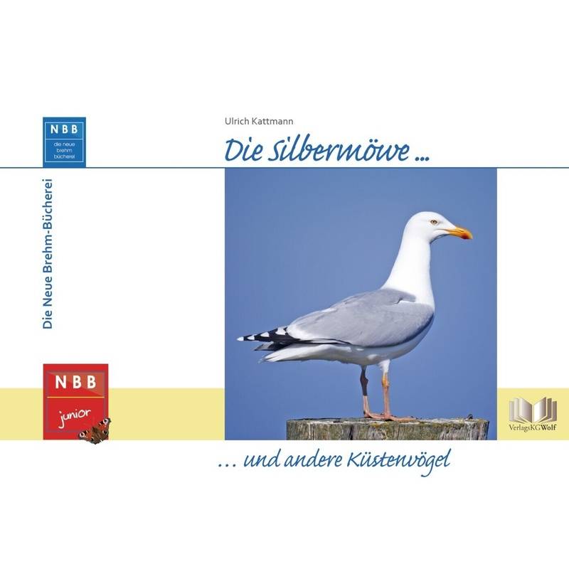Die Silbermöwe Und Andere Küstenvögel - Ulrich Kattmann, Gebunden von VerlagsKG Wolf