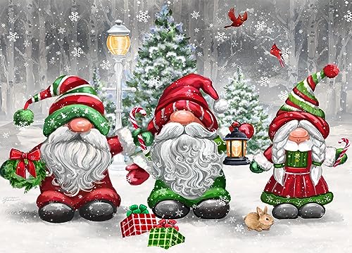Vermont Christmas Company Weihnachtskarten Christmas Gnomes – 15 Karten und 16 mit Folie gefütterte Umschläge – verpackt in attraktiver roter Box – Karten messen 11,4 x 16,5 cm, gefaltet Vermont Christmas Company Weihnachtskarten Christmas Gnomes – 15 Karten und 16 mit Folie gefütterte Umschläge – verpackt in attraktiver roter Box – Karten messen 11,4 x 16,5 cm, gefaltet von Vermont Christmas Company
