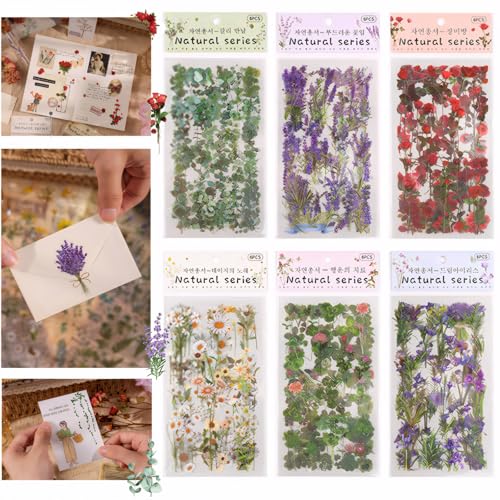 VEROA 36 Blatt 500 Tabletten Sammelalbum Aufkleber,PET Wasserfeste Aufkleber Pflanzen Blumen – Klare Vintage Aufkleber für Sammelalbum, Tagebuch, Diy Karten, Album（Der Stil Wird Nicht Wiederholt） von Veroa