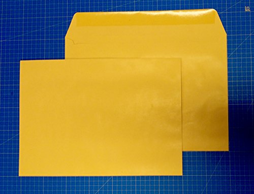 AN094-250 Versandtaschen Briefumschläge glänzend nassklebend DIN B4 braun 250 x 353 mm 100 g/m² von Versandpappe