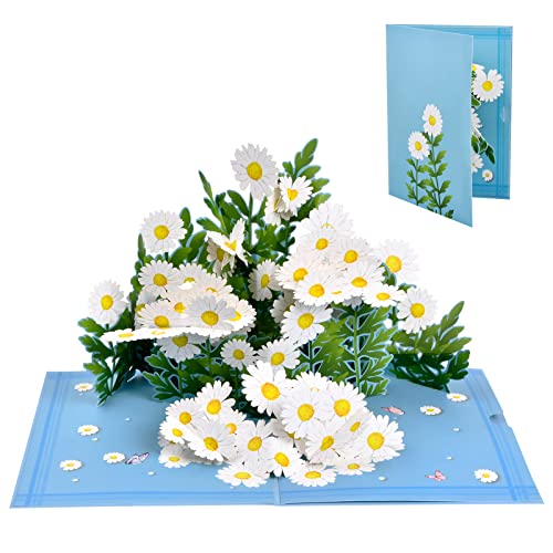 Vesaneae Pop Up Karte Gänseblümchen, 3D Blumen Grußkarte, Geburtstagskarte, Glückwunschkarte, Dankeskarte mit Notizkarte und Umschlag, Klappkarte für Geburtstag Muttertag Valentinstag Hochzeit Vesaneae Pop Up Karte Gänseblümchen, 3D Blumen Grußkarte, Geburtstagskarte, Glückwunschkarte, Dankeskarte mit Notizkarte und Umschlag, Klappkarte für Geburtstag Muttertag Valentinstag Hochzeit von Vesaneae