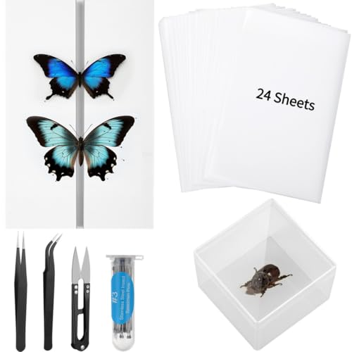 Schmetterlings-Insekten-Sammelwerkzeug-Set für Klassenzimmer, inklusive Displayboxen, Insektennadeln, Eva-Boards, Pinzette, Schere und Transparentblätter von Vestamore