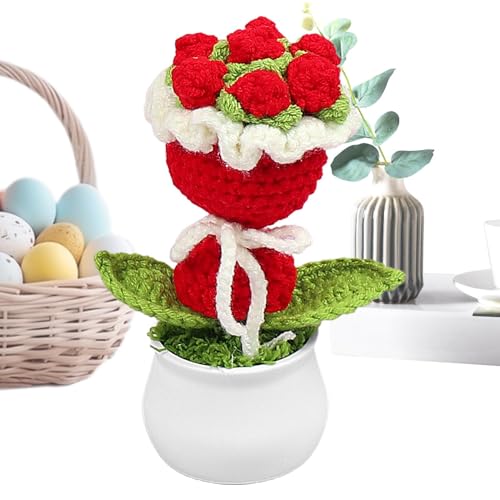 Vgvgaj Häkelblumen, gehäkelter Blumentopf – Häkel-Blumenstrauß im Topf – gehäkelt, bunt, gestrickt, Geschenk für Zuhause, Büro, für Mama, Frau Vgvgaj Häkelblumen, gehäkelter Blumentopf – Häkel-Blumenstrauß im Topf – gehäkelt, bunt, gestrickt, Geschenk für Zuhause, Büro, für Mama, Frau von Vgvgaj
