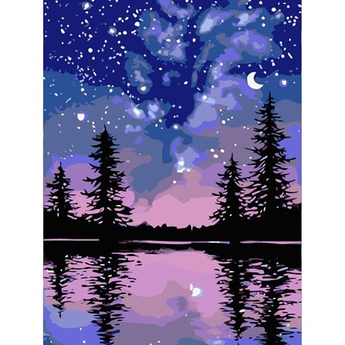 Viart Malen Nach Zahlen Sternenklarer Himmel-Malen nach Zahlen Erwachsene,Sternenklare Nacht Paint by Numbers Adult für Home Wand Dekor 30x40cm Viart Malen Nach Zahlen Sternenklarer Himmel-Malen nach Zahlen Erwachsene,Sternenklare Nacht Paint by Numbers Adult für Home Wand Dekor 30x40cm von Viart