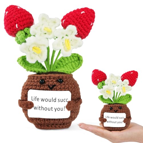 Vicloon Dankeschön Geschenke Gestrickte Erdbeere, Pocket Hug Kleine Geschenke, Positive Kleines Dankeschön Geschenk für Freunde Kollegen und Famili Vicloon Dankeschön Geschenke Gestrickte Erdbeere, Pocket Hug Kleine Geschenke, Positive Kleines Dankeschön Geschenk für Freunde Kollegen und Famili von Vicloon