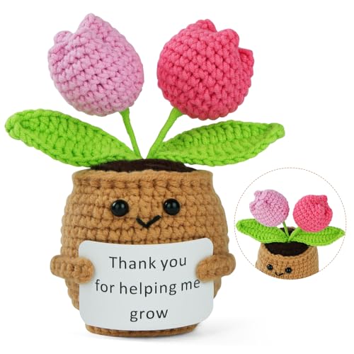 Vicloon Dankeschön Geschenke Gestrickte Tulpe, Pocket Hug Kleine Geschenke, Positive Kleines Dankeschön Geschenk für Freunde Kollegen und Famili Vicloon Dankeschön Geschenke Gestrickte Tulpe, Pocket Hug Kleine Geschenke, Positive Kleines Dankeschön Geschenk für Freunde Kollegen und Famili von Vicloon