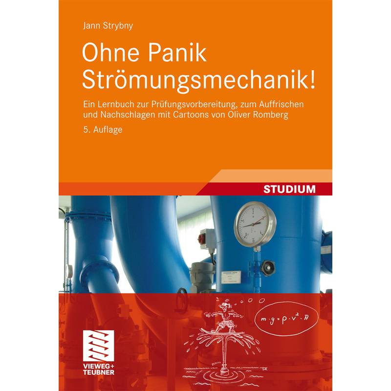 Ohne Panik Strömungsmechanik! - Jann Strybny, Kartoniert (TB) von Vieweg+Teubner Verlag