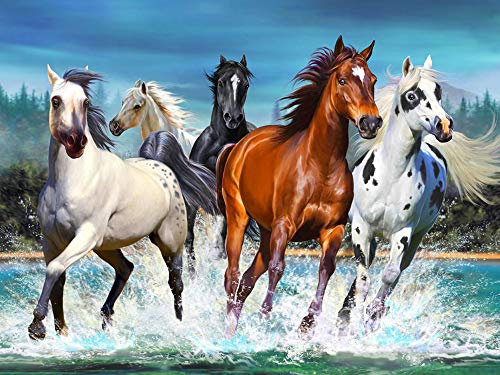 Viiegor Diamond Painting Komplettset, Motiv: Pferd am Strand, Diamant-Stickerei, komplett, Strand, Meer, Pferd, Diamantmalerei, Kreuzstich, Diamant, Kunsthandwerk für Zuhause, Wanddekoration, 30 x 40 Viiegor Diamond Painting Komplettset, Motiv: Pferd am Strand, Diamant-Stickerei, komplett, Strand, Meer, Pferd, Diamantmalerei, Kreuzstich, Diamant, Kunsthandwerk für Zuhause, Wanddekoration, 30 x 40 von Viiegor