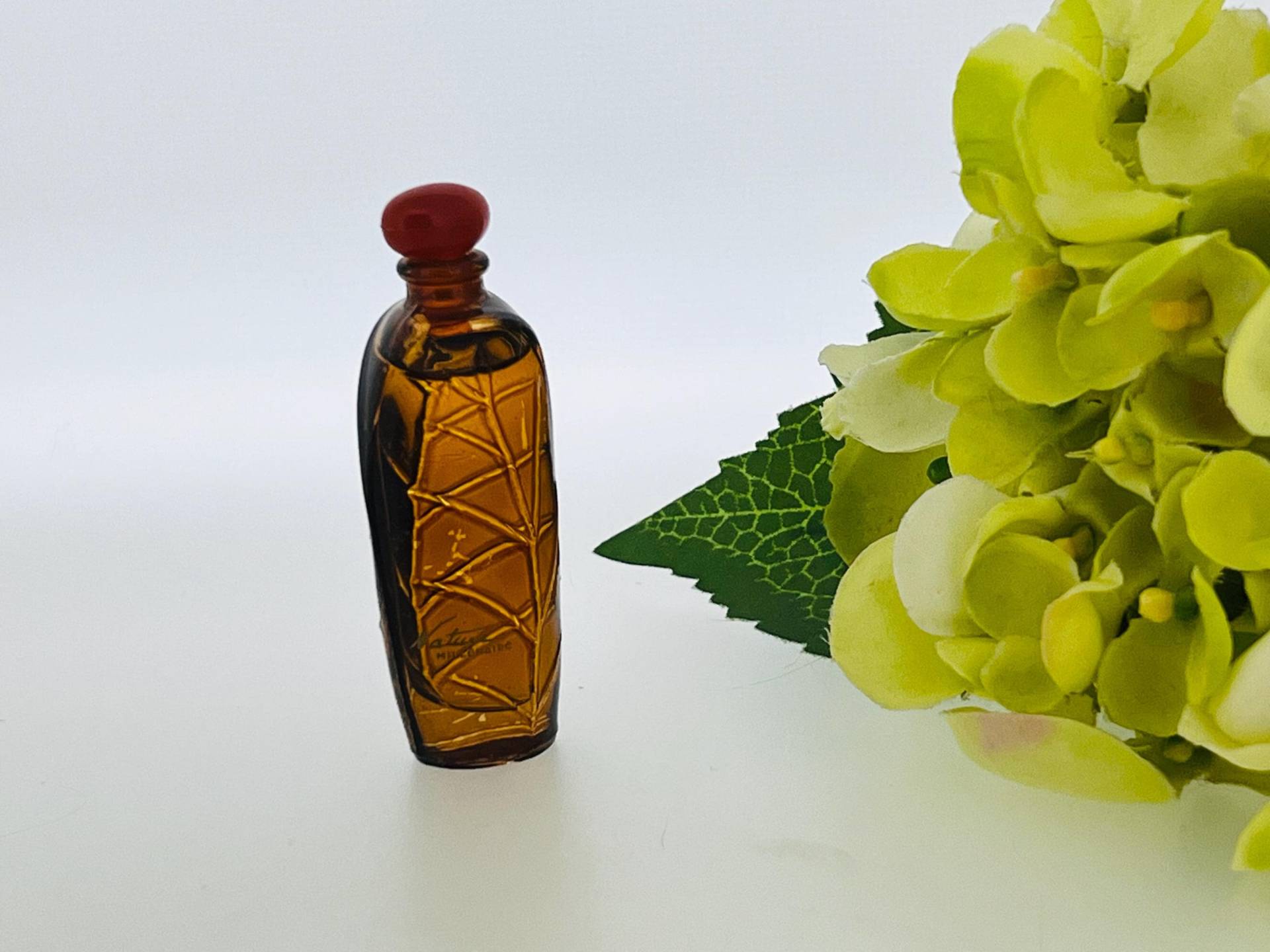 Vintage Nature Millénaire Yves Rocher 2000 Eau De Toilette 5 Ml Vintage Nature Millénaire Yves Rocher 2000 Eau De Toilette 5 Ml von VintagePerfumeShop