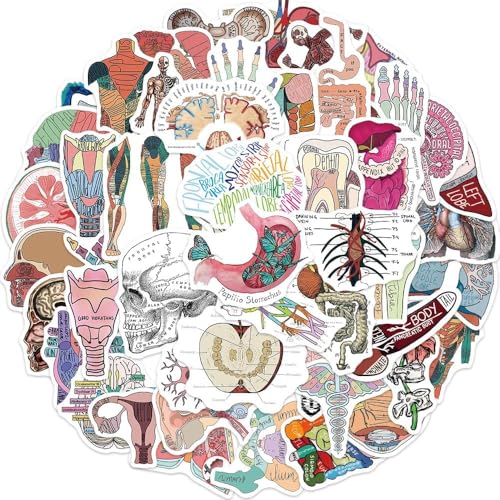 50 Anatomische Organaufkleber, Laptop-Aufkleber, Geschenke für Kinder, Organaufkleber, wasserfeste Vinyl-Aufkleber für Scrapbooking, Skateboarding, Auto, Gepäck von Viojrlly