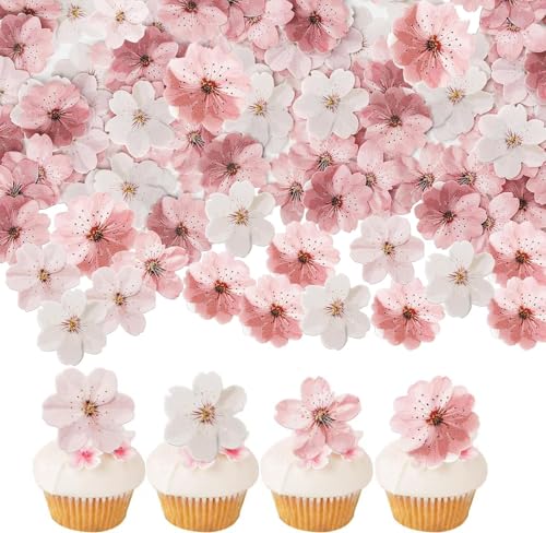 Viojrlly 50 Stück Blumen Cupcake Topper, Essbar Kirsche Kirsche Blüte Tortendeko Reis Papier Waffel Papier Kuchen Deko für Kirschblüte Thema Braut Dusche Geburtstag Party Kuchen Dekorationen Rosa Viojrlly 50 Stück Blumen Cupcake Topper, Essbar Kirsche Kirsche Blüte Tortendeko Reis Papier Waffel Papier Kuchen Deko für Kirschblüte Thema Braut Dusche Geburtstag Party Kuchen Dekorationen Rosa von Viojrlly