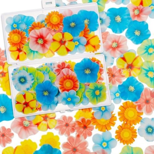 Viojrlly 80 Stück Essbare Blüten Tortendeko Blume Schmetterlinge Kuchen Topper Waffel Papier Klebreispapier Bunte Essbar Deko Blumen Deko Torte für Hochzeits Geburtstag Party Viojrlly 80 Stück Essbare Blüten Tortendeko Blume Schmetterlinge Kuchen Topper Waffel Papier Klebreispapier Bunte Essbar Deko Blumen Deko Torte für Hochzeits Geburtstag Party von Viojrlly