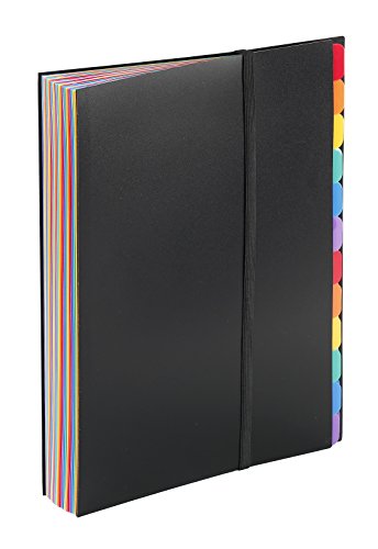 Viquel Rainbow Class Ordnungsmappe, 36 Fächer, erweiterbare Tasche zum Ordnen und Transportieren von Dokumenten, Akkordeon-Fächer zur Dokumentenaufbewahrung Viquel Rainbow Class Ordnungsmappe, 36 Fächer, erweiterbare Tasche zum Ordnen und Transportieren von Dokumenten, Akkordeon-Fächer zur Dokumentenaufbewahrung von Viquel