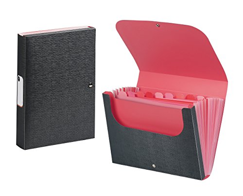 Viquel 166188 – 01 Ordnungsmappe Desktop-Akkordeon, Rot Viquel 166188 – 01 Ordnungsmappe Desktop-Akkordeon, Rot von Viquel