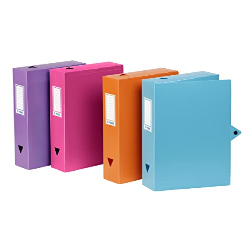 Viquel - 8 Kunststoffboxen - Archivbox mit Druckknopfverschluss - farblich abgestimmte Aufbewahrungsbox - Rücken 6 cm von Viquel