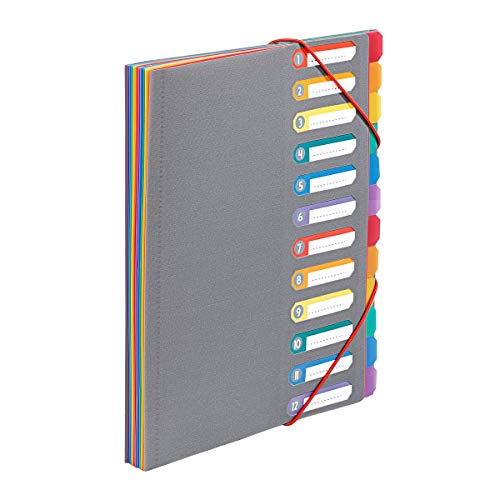 Viquel - Ordnungsmappe A4 mit 12 Fächern – ausziehbarer Schreibtisch-Organizer – Dokumentenmappe A4 mit Index – Verschluss durch Gummiband – Rainbow Touch Grau von Viquel