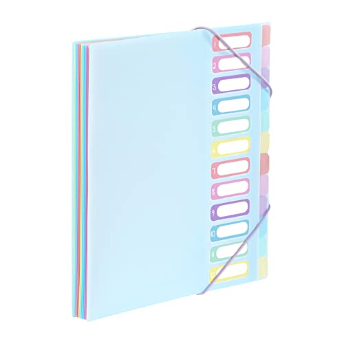 Viquel - Dokumentenmappe A4 mit 12 Fächern, Regenbogenfarben, Pastellfarben von Viquel