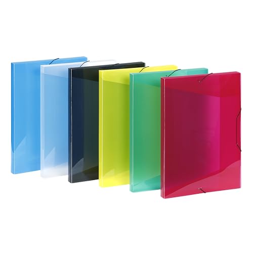 Viquel - Dokumentenmappe aus Kunststoff, transparent, mit Gummizug, A3-12 Fächer, A3, verschiedene Farben, 12 Stück von Viquel