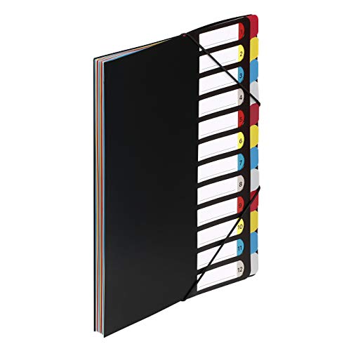 Viquel Fächermappe, erweiterbar, A4, 12 Fächer, Schwarz Viquel Fächermappe, erweiterbar, A4, 12 Fächer, Schwarz von Viquel