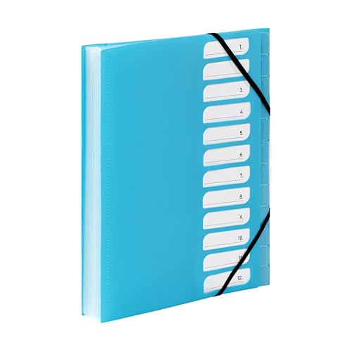 Viquel - Ordnungsmappe A4 mit 12 Fächern – ausziehbarer Schreibtisch-Organizer – Dokumentenmappe A4 mit Index – Verschluss durch Gummiband – Reihe Fel'Easy – Blau Türkis Viquel - Ordnungsmappe A4 mit 12 Fächern – ausziehbarer Schreibtisch-Organizer – Dokumentenmappe A4 mit Index – Verschluss durch Gummiband – Reihe Fel'Easy – Blau Türkis von Viquel