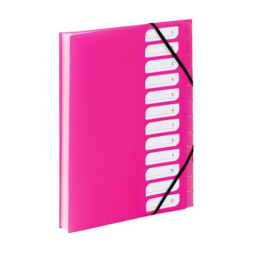 Viquel - Ordnungsmappe A4 mit 12 Fächern – ausziehbarer Schreibtisch-Organizer – Dokumentenmappe A4 mit Index – Verschluss durch Gummiband – Reihe Fel'Easy – Rosa Viquel - Ordnungsmappe A4 mit 12 Fächern – ausziehbarer Schreibtisch-Organizer – Dokumentenmappe A4 mit Index – Verschluss durch Gummiband – Reihe Fel'Easy – Rosa von Viquel