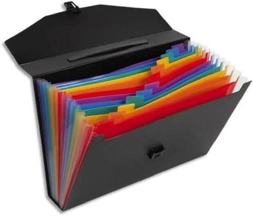 Viquel Rainbow Class Ordnungsmappe 12 Positionen aus Polypropylen Viquel Rainbow Class Ordnungsmappe 12 Positionen aus Polypropylen von Viquel