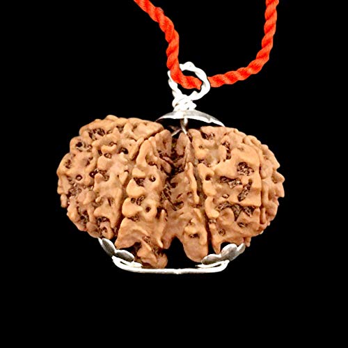 Natürlicher Gaurishankar Rudraksha aus Nepal in Silber-Anhänger, Shiv Parvati, 27 mm - 30 mm, IGL-zertifiziert, 100 % Original und echte Perle Natürlicher Gaurishankar Rudraksha aus Nepal in Silber-Anhänger, Shiv Parvati, 27 mm - 30 mm, IGL-zertifiziert, 100 % Original und echte Perle von Vishaka Arts
