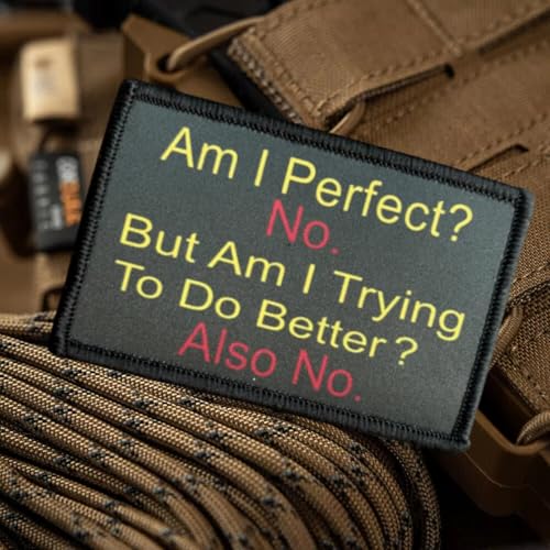 Am I Perfect? Nein Am I Trying? Nein Patch: humorvoller Moral-Patch mit Klettverschluss - Lustige taktische Militär-Patches, Moral-Patches für Rucksäcke, Helm und andere militärische taktische Am I Perfect? Nein Am I Trying? Nein Patch: humorvoller Moral-Patch mit Klettverschluss - Lustige taktische Militär-Patches, Moral-Patches für Rucksäcke, Helm und andere militärische taktische von Viusneun