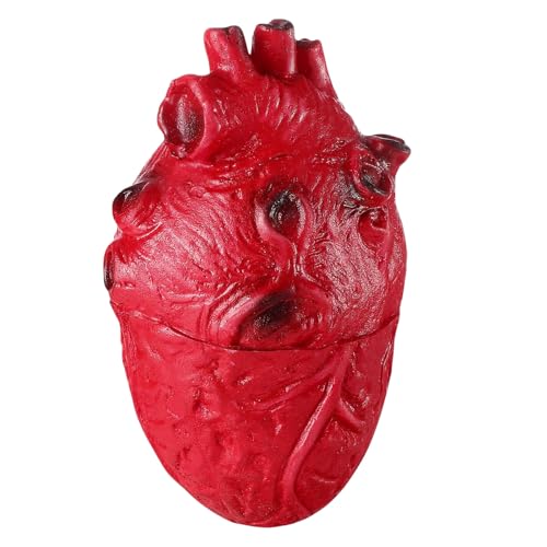 Realistische Herz-Dekoration für Halloween-Feier, Modell-Ornament, handgefertigtes Spukhaus-Zubehör, realistisches Herz Realistische Herz-Dekoration für Halloween-Feier, Modell-Ornament, handgefertigtes Spukhaus-Zubehör, realistisches Herz von VlHpnpe