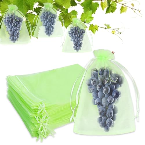 Vlecexs 100 Stück Traubenschutzbeutel, 20x 30cm Weintrauben Schutzbeutel, Obstschutzbeutel, Organzabeutel mit Zugband für Schützen Erdbeer Heidelbeer Tomate vor Vögel Insekten Vlecexs 100 Stück Traubenschutzbeutel, 20x 30cm Weintrauben Schutzbeutel, Obstschutzbeutel, Organzabeutel mit Zugband für Schützen Erdbeer Heidelbeer Tomate vor Vögel Insekten von Vlecexs
