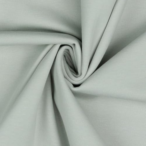 Jerseystoff Uni Meterware Tex Standard 100 zertifiziert 69 Farben zur Auswahl Uni + Meliert (004 I Lichtgrau, 50 x 150cm) von VmG-Store