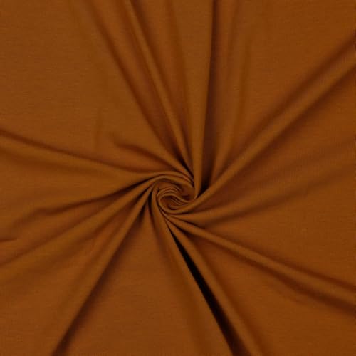 Jerseystoff Uni Meterware Tex Standard 100 + GOTS zertifiziert 69 Farben zur Auswahl (053 I Brique, 100 x 150cm) von VmG-Store