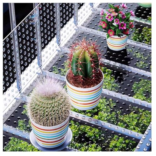 Vnook Perforierte Polycarbonatplatten, Kunststoffgitterplatte, mit 10 mm Löchern, dekorativer Sicherheitsschirm, dekoratives Schirmloch for den Balkon, wasserdichte Fensterabdeckung(50x300cm) von Vnook