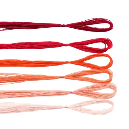 6 rote Farbverlaufsfäden, 20 m, Seiden-Stickgarn zum Nähen/Stricken/Kreuzstich von Vokenforu