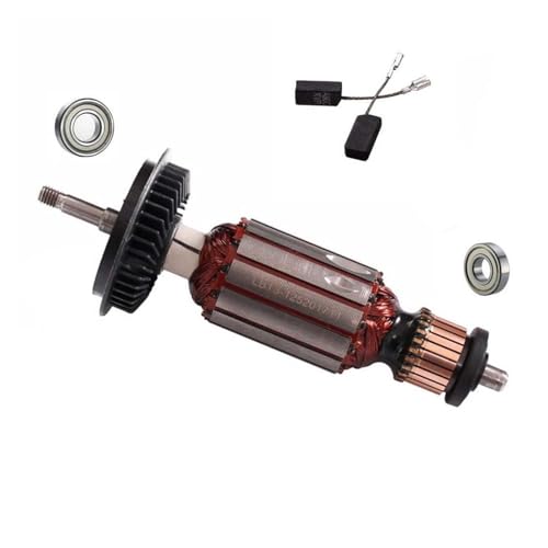 Vqxmhrpw Anker Rotorwelle Kugellager Kohlebürste, Kompatibel for Bosch, for GWS8 GWS 8-100 GWS 8-125 GWS8-125C GWS 850 Winkelschleifer(Rotor Brush Bearings) von Vqxmhrpw