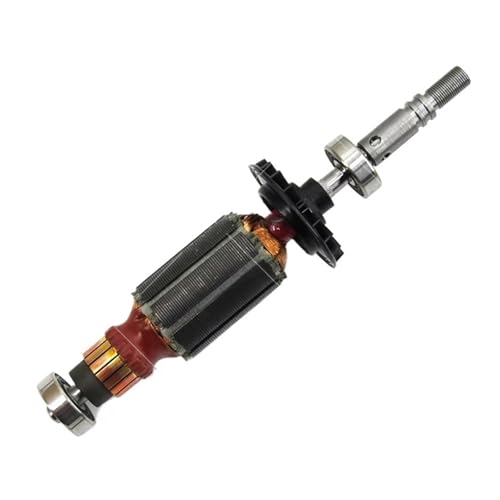 Vqxmhrpw Rotor-Stator-Kohlebürstenschalter, Drehzahlregelung, Kompatibel Mit Bosch, Kompatibel Mit Dremel, Graviermaschine 3000, Elektrowerkzeugteile(Armature) von Vqxmhrpw