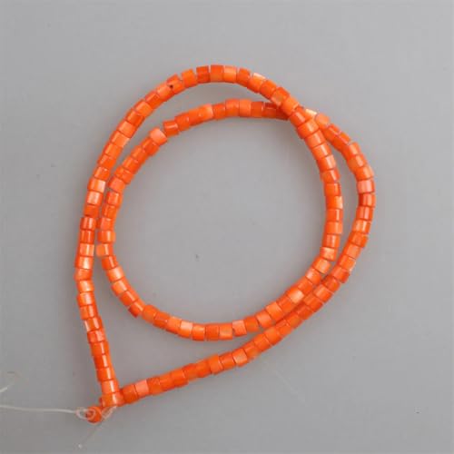 3 x 4 mm natürliche Muschelperlen, Perlmutt, Süßwasser-Muschel-Röhre, Rondelle, Abstandshalter, 3 x 5 mm, ca. 120 Perlen 3 x 4 mm natürliche Muschelperlen, Perlmutt, Süßwasser-Muschel-Röhre, Rondelle, Abstandshalter, 3 x 5 mm, ca. 120 Perlen von Vsadsau