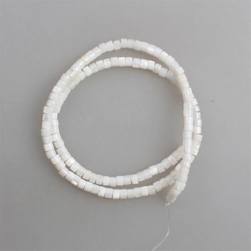3 x 4 mm natürliche Muschelperlen, Perlmutt, Süßwasser-Muschel-Röhre, Rondelle-Abstandshalter, 4 x 3 x 5 mm, ca. 120 Perlen 3 x 4 mm natürliche Muschelperlen, Perlmutt, Süßwasser-Muschel-Röhre, Rondelle-Abstandshalter, 4 x 3 x 5 mm, ca. 120 Perlen von Vsadsau