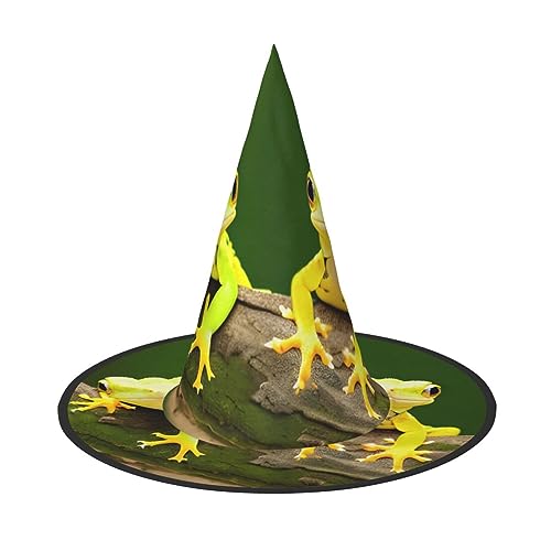 Vuoongt Halloween-Hut mit zwei Geckos, vielseitig, leicht, Kostümzubehör, faltbar, spitzer Hut Vuoongt Halloween-Hut mit zwei Geckos, vielseitig, leicht, Kostümzubehör, faltbar, spitzer Hut von Vuoongt