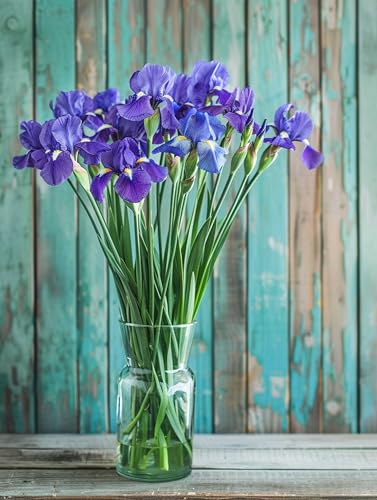 VwrxnchCoatx Colorful Flowers Vorgedruckt Kreuzstich Stickpackung 11CT 40x50cm（15.75 * 19.69in） Stamped Embroidery Kits for Adults Wall Art Home Decoration von VwrxnchCoatx
