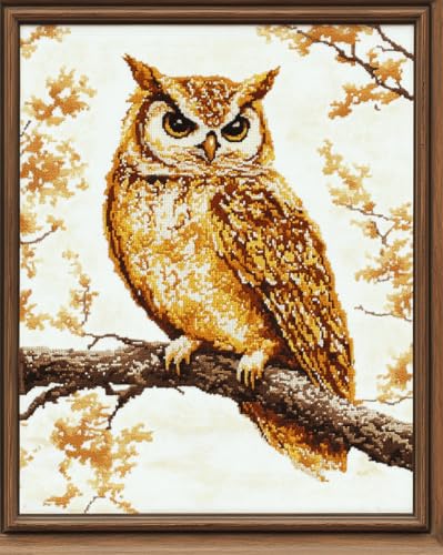 VwrxnchCoatx Kreuzstich Stickpackung Eule,11CT Sticken Set Erwachsene Kreuzstich,DIY Stickbilder Vorgedruckt Kreuzstich für Anfänger Home Decor 40x50cm von VwrxnchCoatx