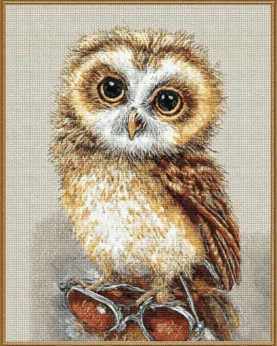 VwrxnchCoatx Kreuzstich Stickpackung Eule,11CT Sticken Set Erwachsene Kreuzstich,DIY Stickbilder Vorgedruckt Kreuzstich für Anfänger Home Decor 40x50cm von VwrxnchCoatx