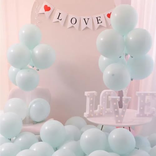 Vyloky Makronen Ballons 23-29cm - Starkes 2.2g Latex & Platzfest - Für Babygeburtstag, Hochzeit, Feiern in Pastellfarben (Hellblau 100 Stück) von Vyloky