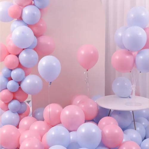 Vyloky Makronen Ballons 23-29cm - Starkes 2.2g Latex & Platzfest - Für Babygeburtstag, Hochzeit, Feiern in Pastellfarben (Rosa+Blau 100 Stück) von Vyloky