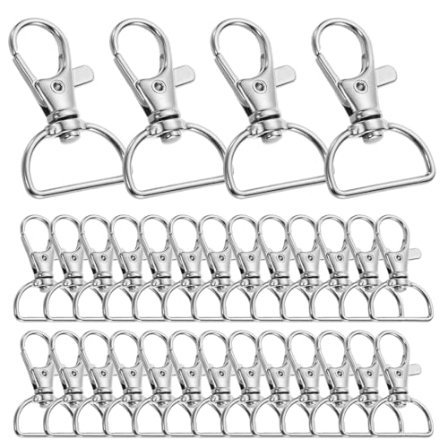 30 Stück Schlüsselanhänger Karabiner, 2cm Innenbreite Schlüsselring Verschluss, Schlüsselkarabiner Schwenker Karabiner, Schlüsselanhänger mit D-ring Schlüsselringe Edelstahl, für Rucksäcke, Schlüssel von Vylro