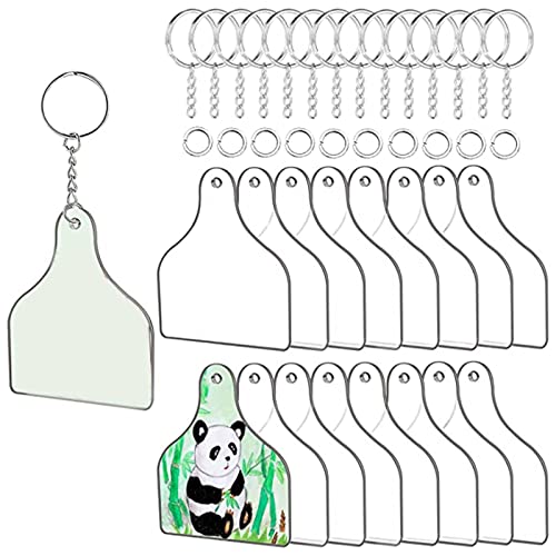 90 Stück transparente Acryl-Schlüsselanhänger-Anhänger, geformte Schlüsselbundrohlinge für Projekte, klare Rohlinge mit Loch von Vynetra