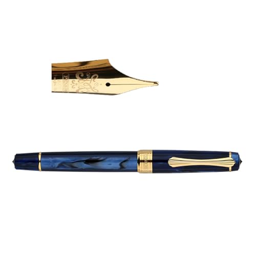 Füllfederhalter mit Kolben gefüllt, mit Metallspitze, ergonomischer Griff für Handschrift, Kalligraphie, Praxis, Notizen, Kolbenfüller von Vynetra