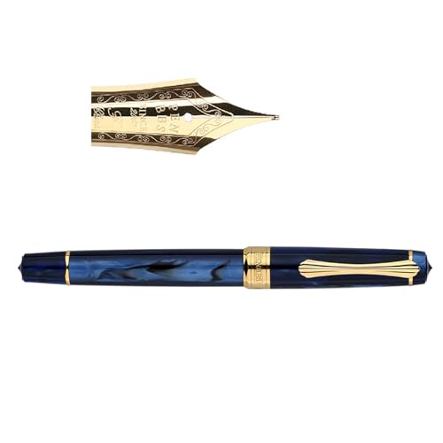 Füllfederhalter mit Kolben gefüllt, mit Metallspitze, ergonomischer Griff für Handschrift, Kalligraphie, Praxis, Notizen, Kolbenfüller von Vynetra