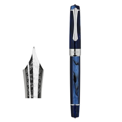 Füllfederhalter mit Kolben gefüllt, mit Metallspitze, ergonomischer Griff für Handschrift, Kalligraphie, Praxis, Notizen, Kolbenfüller von Vynetra