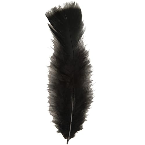 W WIDMANN MILANO Party Fashion - 50 Federn, Länge ca. 10 cm, Accessoire, Basteln, Indianer, Karneval, Mottoparty von W WIDMANN MILANO Party Fashion